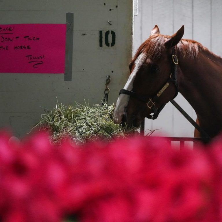 ‘Relaxed’ after Kentucky Derby win, will Preakness be next for Mage?