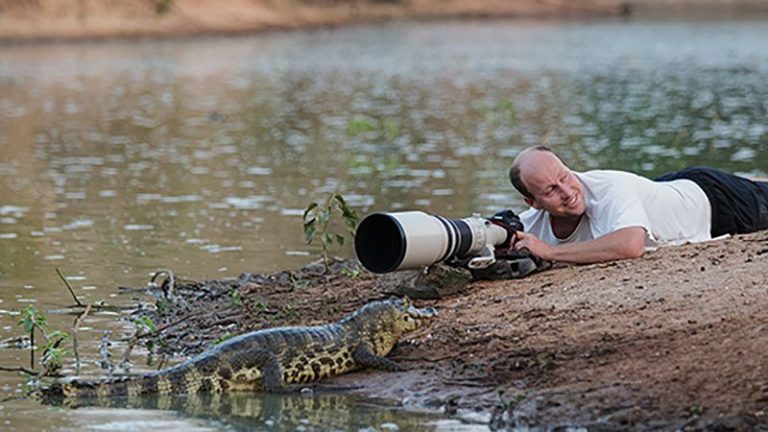 A ‘privilege to be out there’: South African wildlife photographer Chris Fallows on his storied career