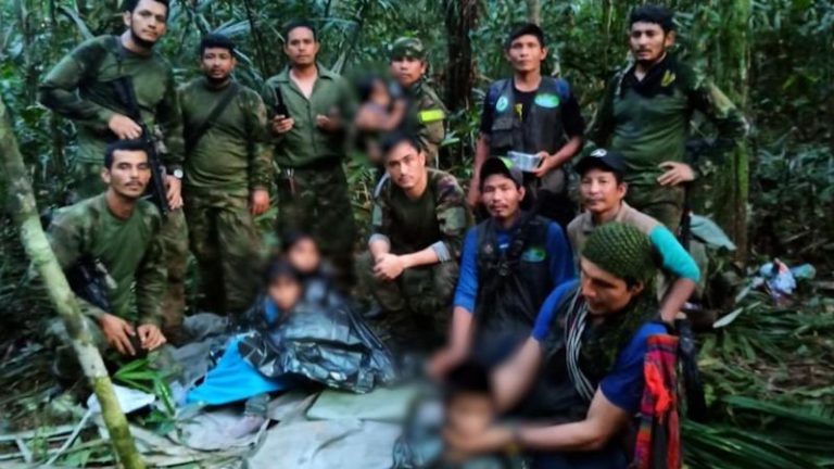 ‘Fruits, seeds and water’ were pivotal in keeping four children alive in the Amazon rainforest