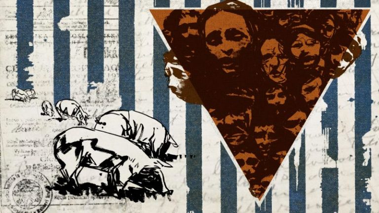 A pig farm that stood on the site of a Nazi-era ‘Roma camp’ is finally demolished