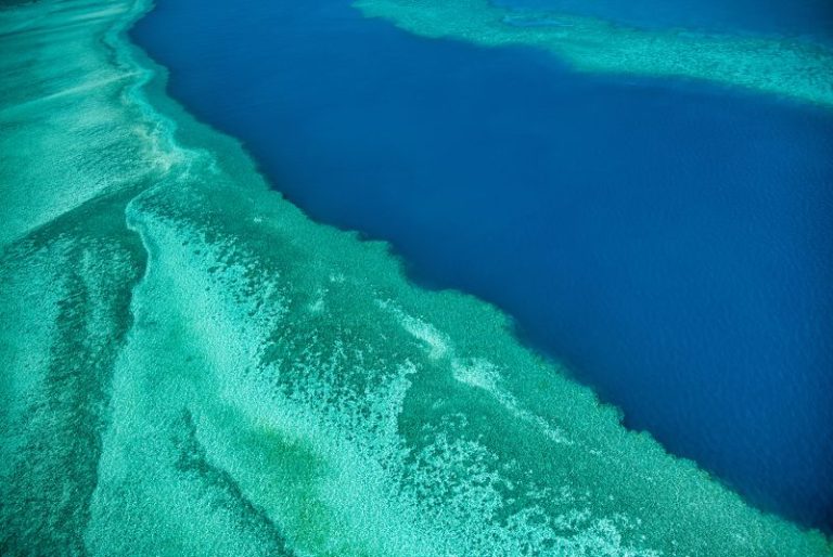 Great Barrier Reef stays off UNESCO ‘in danger’ list but hot El Niño summer looms