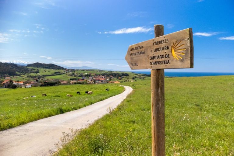 Lessons learned from hiking the Camino de Santiago in Spain and Portugal