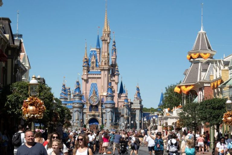 Bear spotted at Disney World prompts closure of parts of Magic Kingdom