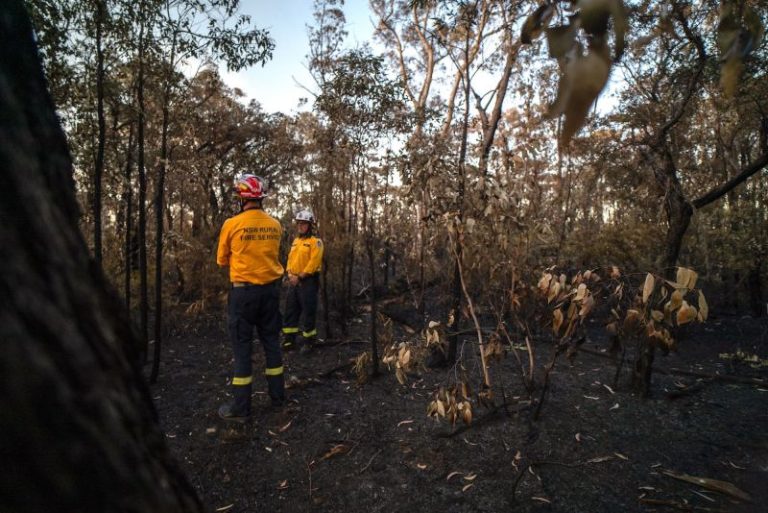 The ominous signs pointing to extreme heat and fire in Australia this summer
