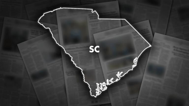 SC sees tight race in Dem primary for state Senate seat; leader ahead by 11 votes