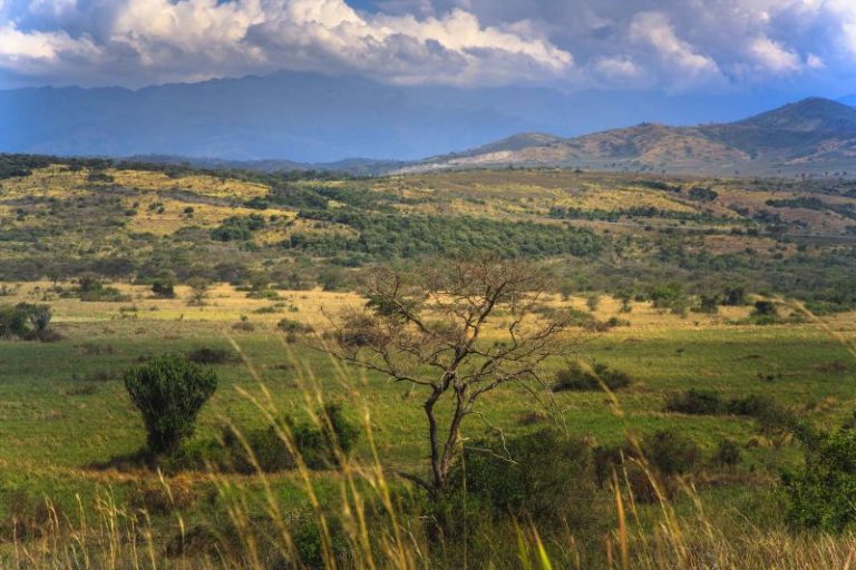 Manhunt underway as newlyweds killed on honeymoon in Uganda