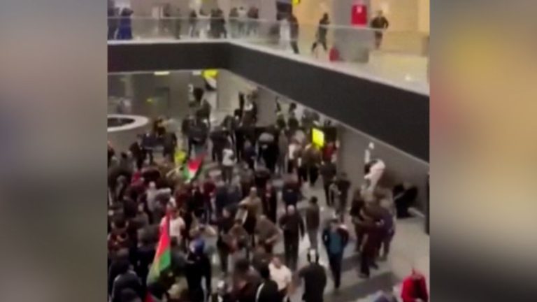Anti-Israel mob storms through Russian airport as flight from Tel Aviv lands
