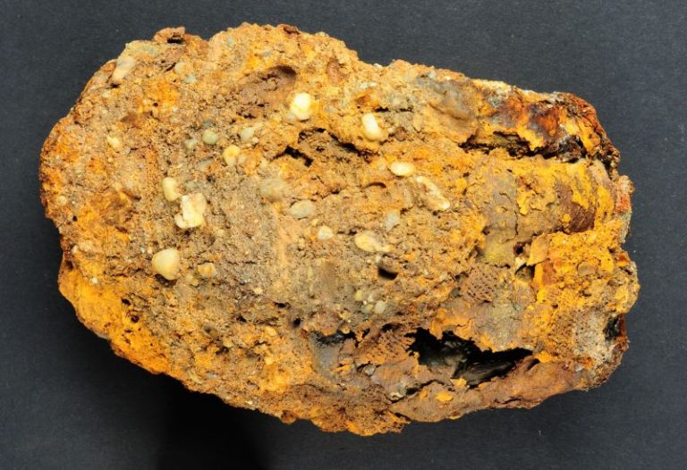 Archaeologists in Germany find centuries-old skeleton with prosthetic hand