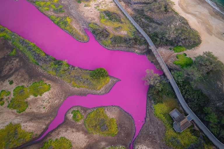 The water has turned a shocking shade of magenta in this Hawaii refuge
