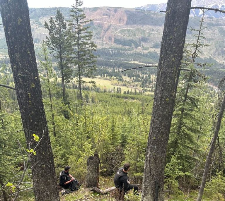 Hunter hospitalized with ‘significant injuries’ after grizzly bear attack in British Columbia