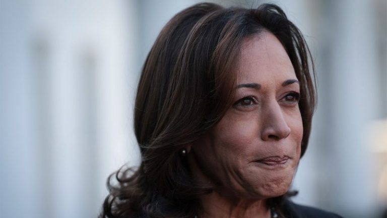 Dem strategists say Harris ‘only practical choice’ as party leaders begin endorsing her