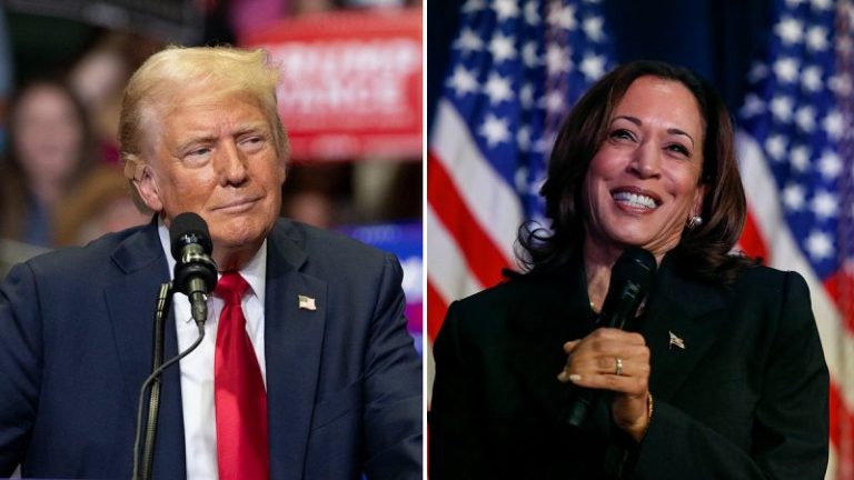Dems test out attack on Trump’s age with Biden now out of race