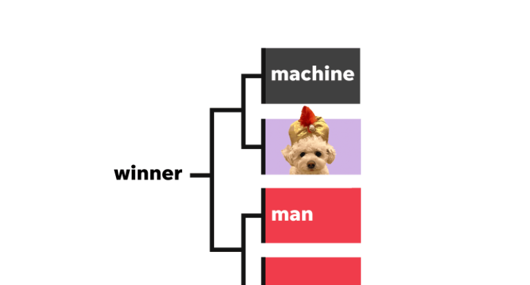 Dog’s NFL picks are beating experts, algorithm