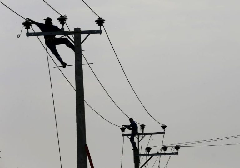 Monkey blamed for nationwide blackout as Sri Lanka scrambles to restore power