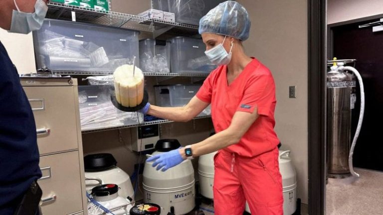 Pro-life leaders urge Trump to reverse his IVF stand, say the technology is ‘not pro-life’