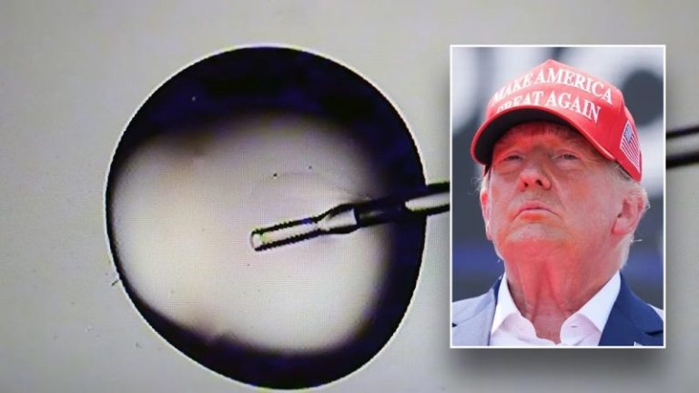 FLASHBACK: Trump seeks to expand fertility coverage, after Tim Walz once accused him of being ‘anti-IVF’