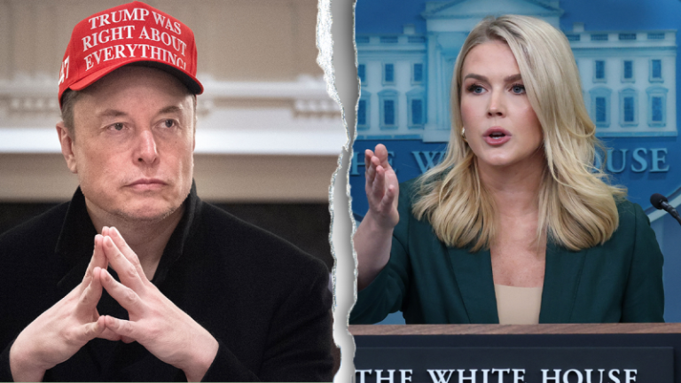 Elon Musk tapped to help lead investigation into Signal chat leak: White House