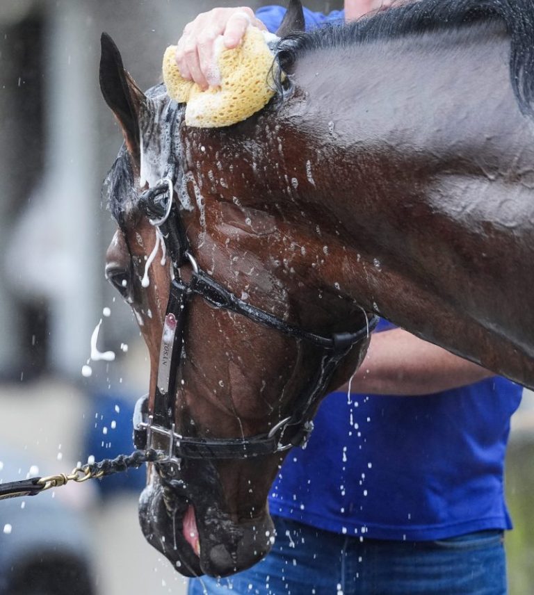 Kentucky Derby field shuffles after contender withdraws from race